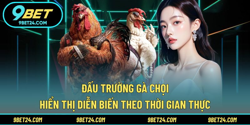 Đấu trường gà chọi hiển thị diễn biến theo thời gian thực