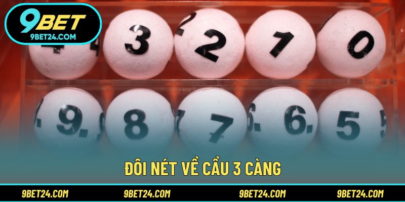 Đôi nét về cầu 3 càng